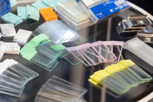 20112025-MarieBrunel-STANDS-060